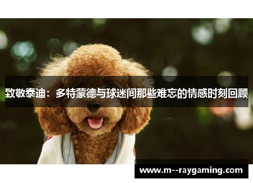 致敬泰迪：多特蒙德与球迷间那些难忘的情感时刻回顾