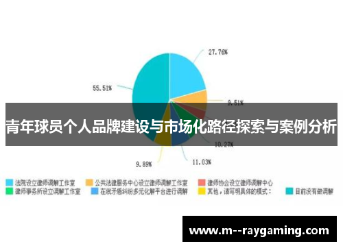 青年球员个人品牌建设与市场化路径探索与案例分析