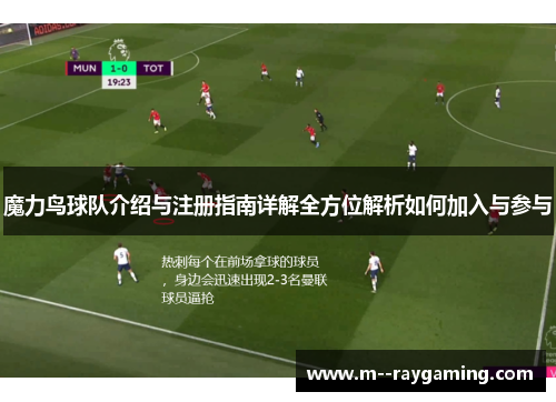 魔力鸟球队介绍与注册指南详解全方位解析如何加入与参与