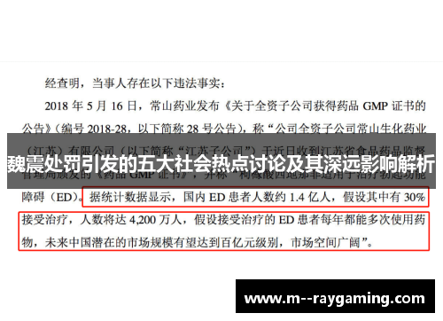 魏震处罚引发的五大社会热点讨论及其深远影响解析